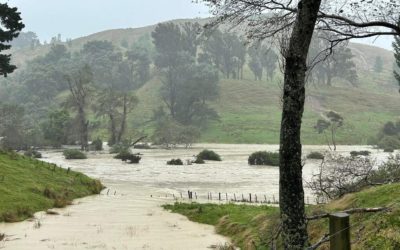 Rapid building assessments following Cyclone Gabrielle