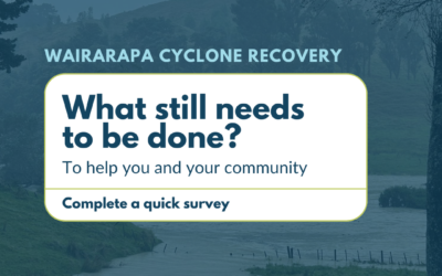 Cyclone recovery ongoing needs survey underway